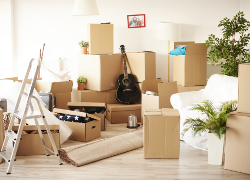 Office Shifting